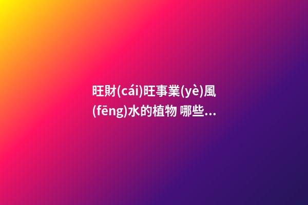 旺財(cái)旺事業(yè)風(fēng)水的植物 哪些植物的風(fēng)水會比較好